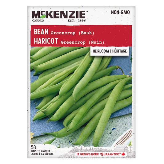 Bean Seeds, Greencrop Bush