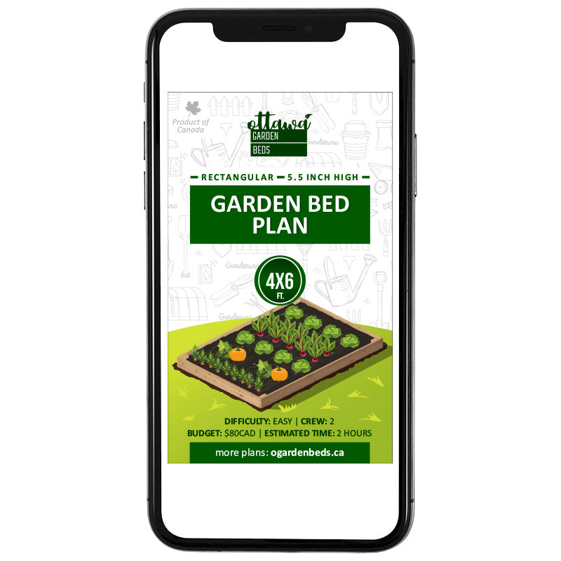 Garden Bed Plan rectangular 4x6 standard height